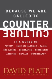 Because We Are Called to Counter Culture: How We Are to Respond to Poverty, Same-Sex Marriage, Racism, Sex Slavery, Immigration, Persecution. Abortion, Orphans, and Pornography